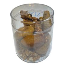 Snack Lezletli Atıştırmalık Glutensiz